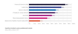 Zamereni ceskych center podnikovych sluzeb