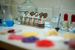 8 Pohled do laboratoře s barevnými pigmenty a make upy foto Dermacol Ji ří Sláma repro zdarma