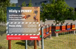 PENNY ULY 0001