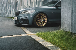 DOTZ Suzuka bronze BMW M235 imagepic05